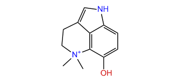 Dehydrobufotenine