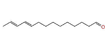 10,12-Tetradecadienal