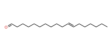 11-Octadecenal