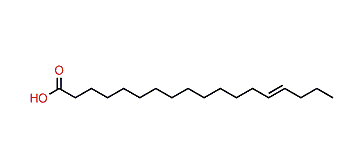 14-Octadecenoic acid