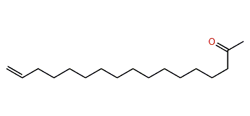 16-Heptadecen-2-one