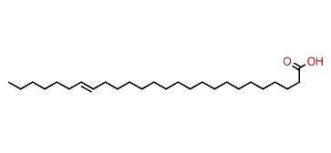 19-Hexacosenoic acid