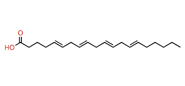 5,8,11,14-Eicosatetraenoic acid