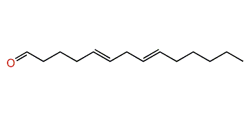 5,8-Tetradecadienal