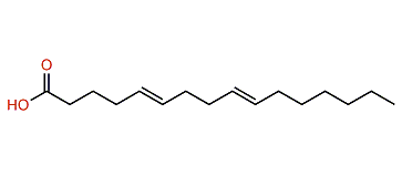 5,9-Hexadecadienoic acid