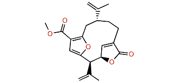 Deoxypseudopterolide