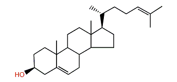 Cholesta-5,24-dien-3b-ol