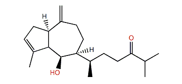 Dictyone