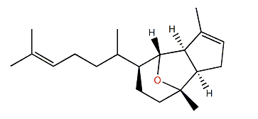 Dictyoxide