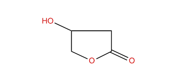 Dihydro-4-hydroxyfuran-2(3H)-one