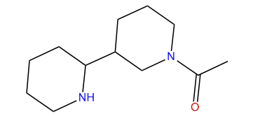 Dihydroammodendrine