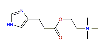 Dihydromurexine