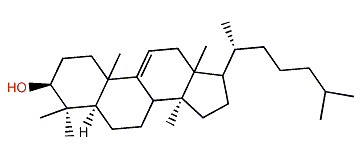 5a-Lanost-9(11)-en-3b-ol