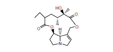 Dihydrosenecionine