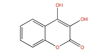 3,4-Dihydroxy-2H-1-benzopyran-2-one