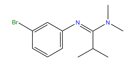 N,N-Dimethyl-N-(3-bromophenyl)-isobutyramidine