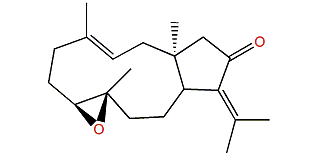 Dolabellane