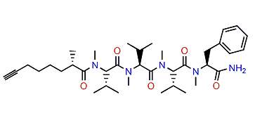 Dragonamide