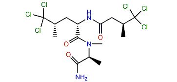 Dysidenamide