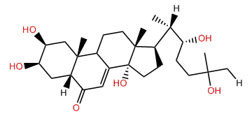 Ecdysone