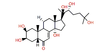 Ecdysterone