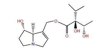 Echinatine