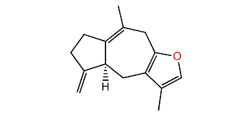 Echinofuran