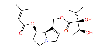 7-Senecioylintermedine