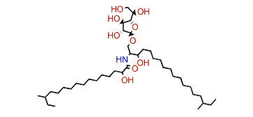 Ectyoceramide