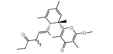 Elysione