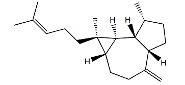 Emmottene