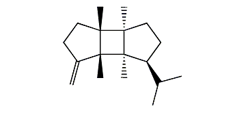 epi-beta-Bourbonene