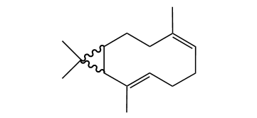 epi-Bicyclophellandrene