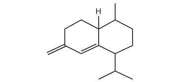 epi-Bicyclosesquiphellandrene