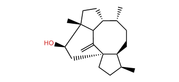 epi-Longipenol