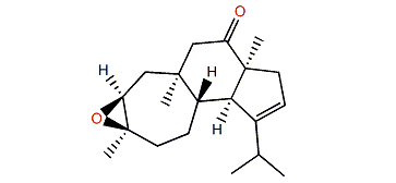 Epipolone