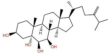 Ergost-24(28)-en-3b,5a,6b,7b-tetrol