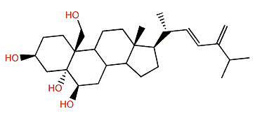 Ergosta-22,24(28)-dien-3b,5a,6b,19-tetrol