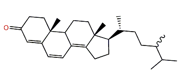 Ergosta-4,6,8(14)-trien-3-one