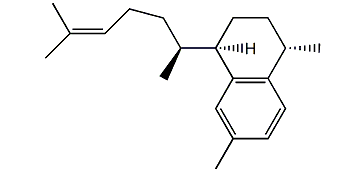 Erogorgiaene