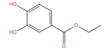 Ethyl 3,4-dihydroxybenzoate