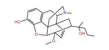 Etorphine