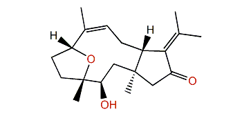 Euniciniatin