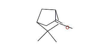 5,5,6-Trimethylbicyclo[2.2.1]heptan-2-one