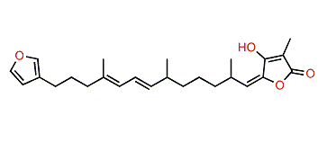 Fasciculatin