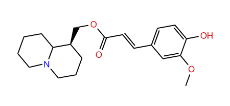 Feruloyllupinine