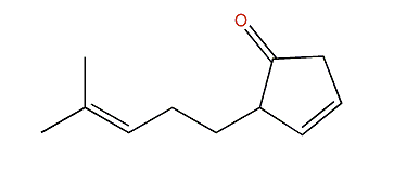 Filamentone