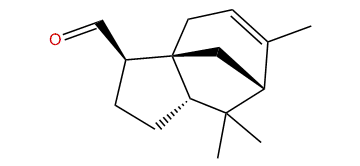 Funebren-15-al