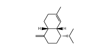 gamma-Amorphene