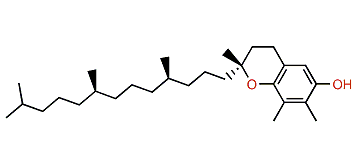 gamma-Tocopherol